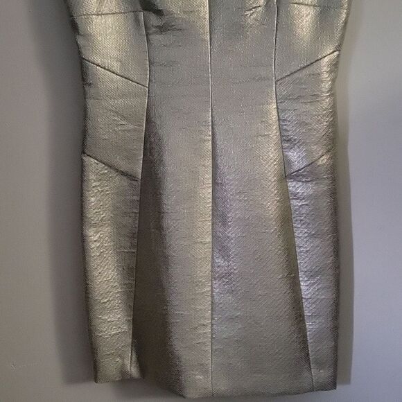 * * ROBERT RODRIGUEZ Silver Party Dress - Picture 3 of 9